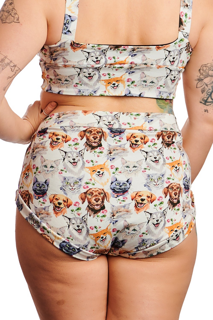 HAPPY CATS AND DOGS